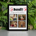 Familie 4 op foto's afgestemde hondencollage table fotoplaat<br><div class="desc">Viel je beste vriend met een aangepast fotocollage-pleister. Als je zoveel leuke herinneringen en foto's hebt, is één foto niet genoeg. Dit poster heeft 4 foto's, een citaat, en u kunt de naam van uw huisdier personaliseren. U kunt de kleur van de paginafdruk ook veranderen. Om aan te passen, kunt...</div>