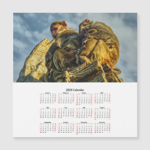 Familie apen Magnetische Kaart kalender 2025