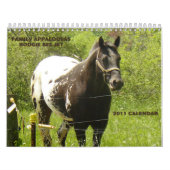 Familie Appaloosas 2011 Kalender (Hoes)