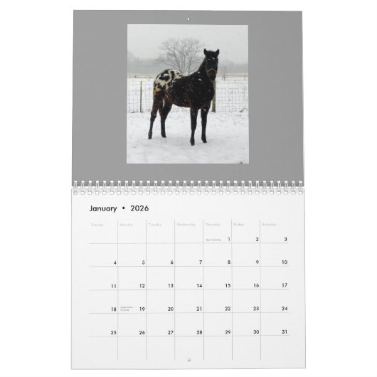 Familie Appaloosas 2011 Kalender (Jan 2026)
