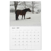 Familie Appaloosas 2011 Kalender (Mar 2027)
