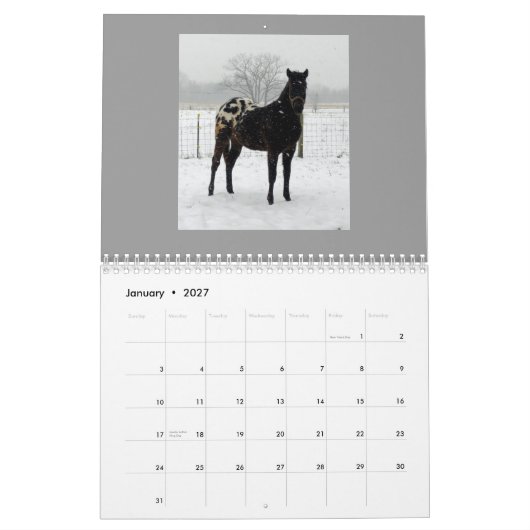 Familie Appaloosas 2011 Kalender (Jan 2027)