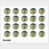 Familie Boerderij Custom Funny Chicken Photo Farme Ronde Sticker (Vel)