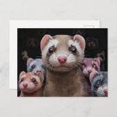 Familie-Briefkaart van Ferret Briefkaart (Voorkant / Achterkant)