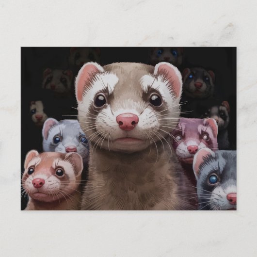 Familie-Briefkaart van Ferret Briefkaart (Voorkant)