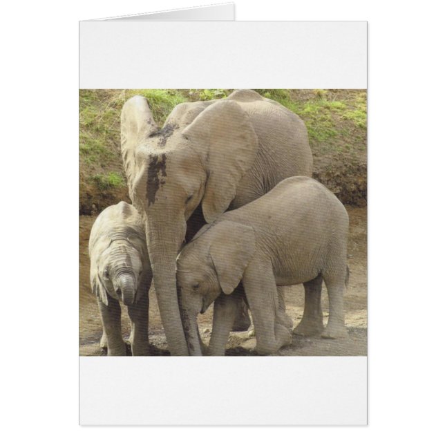 Familie-eenheid.jpg (Voorkant)