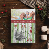 Familie Foto Birch Tree  vogels