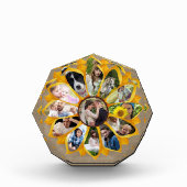 Familie Foto Collage Sunflower Burlap 13 Pics Easy (Voorkant)