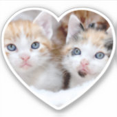 Familie foto foto Heart vorm Sticker (Voorkant)