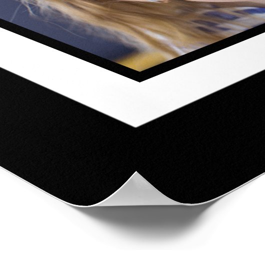 Familie is Alles aangepaste Sjabloon voor Collage  Poster (Hoek)