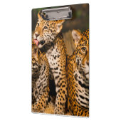 familie Jaguar Klembord (Links)