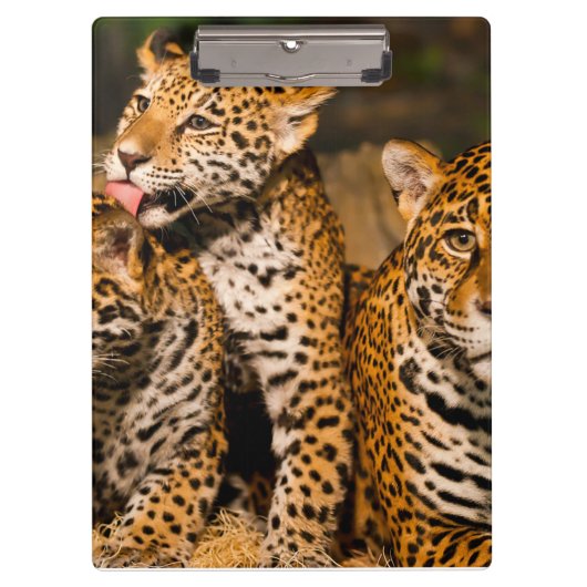 familie Jaguar Klembord (Voorkant)