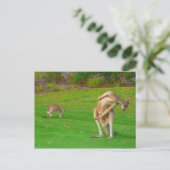 familie kangaroo briefkaart (Staand voorkant)