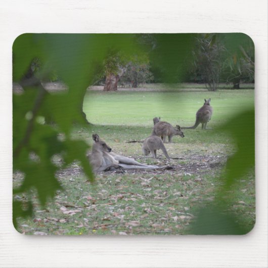 familie kangaroo muismat (Voorkant)
