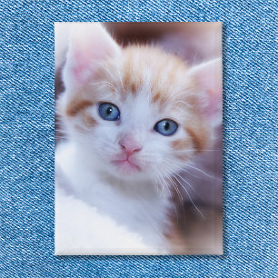 Familie Kat Verticale Portret Foto Button