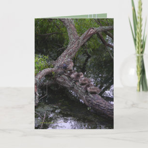 Familie onbeweeglijk kaart