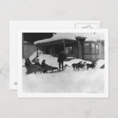 Familie op reis van Dog Sled in Alaska Briefkaart (Voorkant / Achterkant)