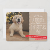 FAMILIE PET moderne leuke grillige typografie rust Feestdagenkaart (Voorkant)