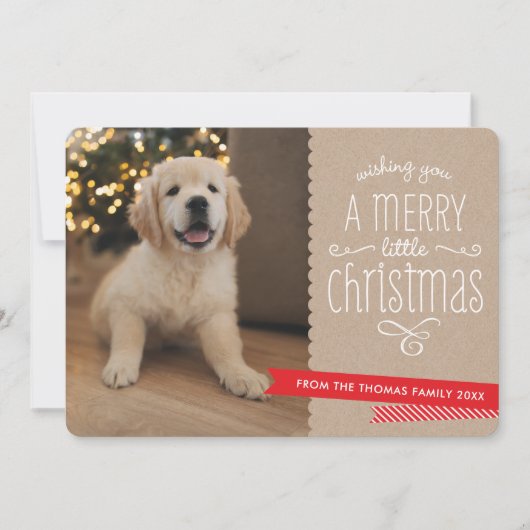 FAMILIE PET moderne leuke grillige typografie rust Feestdagenkaart (Voorkant)