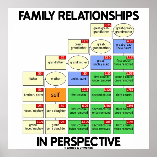 Familie Relaties in perspectief (reünie) Poster (Voorkant)