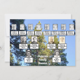Familie reünie familie boompijn bos kaart
