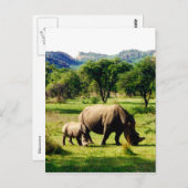 familie rhino briefkaart (Voorkant / Achterkant)
