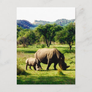 familie rhino briefkaart