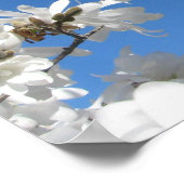 Familie Stropdassen Magnolia Poster (Hoek)