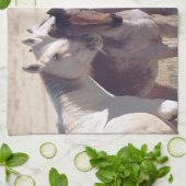 Familie Theedoek (Gevouwen)