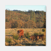 Familie tijd....... magneet (Voorkant)