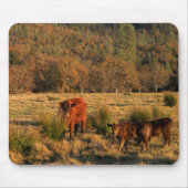 Familie tijd....... muismat (Voorkant)