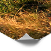 Familie tijd........ poster (Hoek)