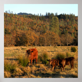 Familie tijd........ poster