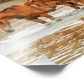 familie van bruin paard aan de rivier foto afdruk (Hoek)