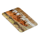 familie van bruin paard aan de rivier magneet (Rechterzijde)