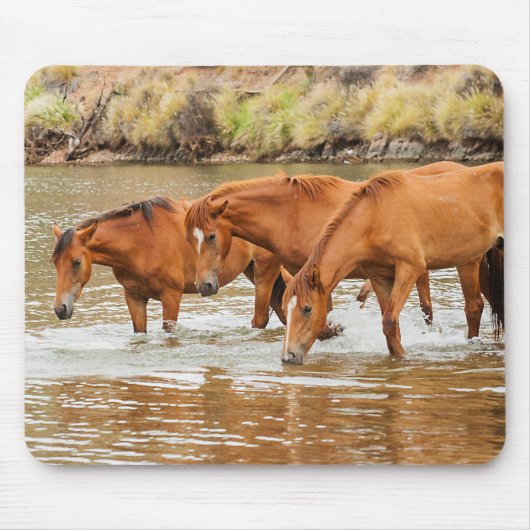 familie van bruin paard aan de rivier muismat (Voorkant)