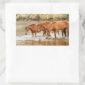 familie van bruin paard aan de rivier rechthoekige sticker (Tas)