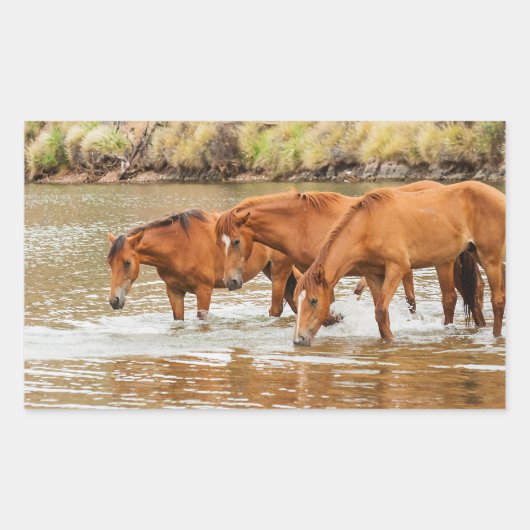 familie van bruin paard aan de rivier rechthoekige sticker (Voorkant)