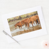 familie van bruin paard aan de rivier rechthoekige sticker (Envelop)