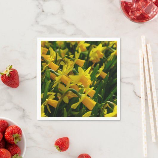 Familie van Daffodils Servetten (Insitu)