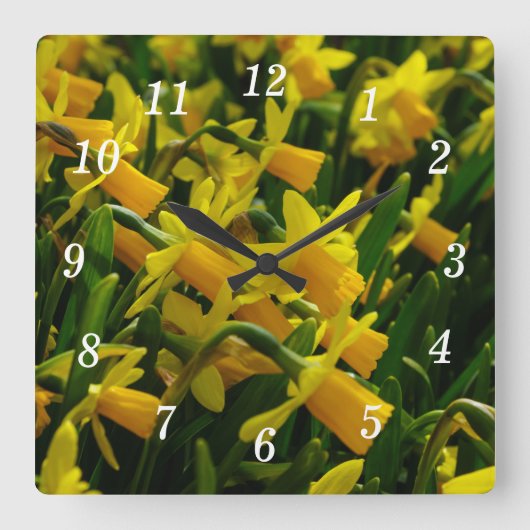 Familie van Daffodils Vierkante Klok (Voorkant)
