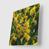 Familie van Daffodils Vierkante Klok (Hoek)