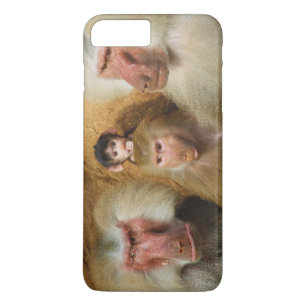Familie van de dierentuin van Baboons Papio Hamadr Case-Mate iPhone Case