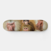 Familie van de dierentuin van Baboons Papio Hamadr Persoonlijk Skateboard (Horizontaal)