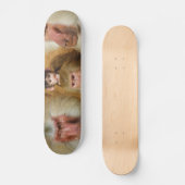 Familie van de dierentuin van Baboons Papio Hamadr Persoonlijk Skateboard (Voorkant)