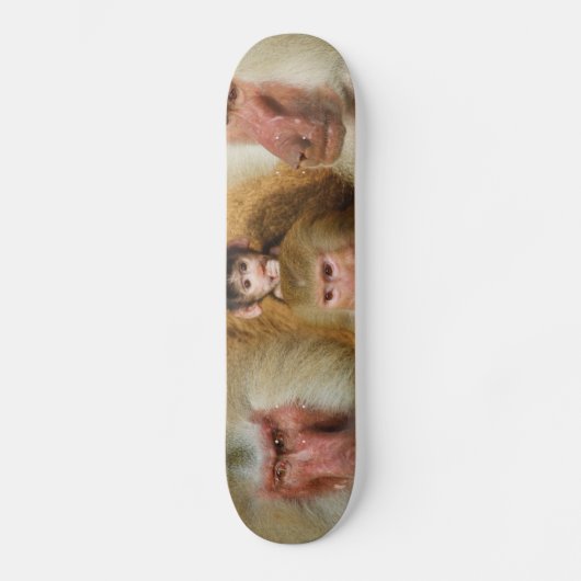 Familie van de dierentuin van Baboons Papio Hamadr Persoonlijk Skateboard (Voorkant)