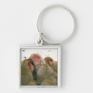Familie van de Japanse macaque, Jigokudani, Sleutelhanger