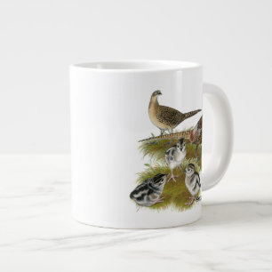Familie van de ringhalssikfazant grote koffiekop