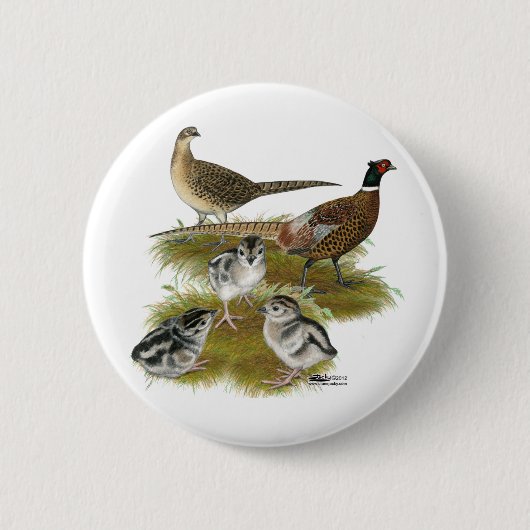 Familie van de ringhalssikfazant ronde button 5,7 cm (Voorkant)