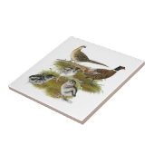 Familie van de ringhalssikfazant tegeltje (Zijkant)